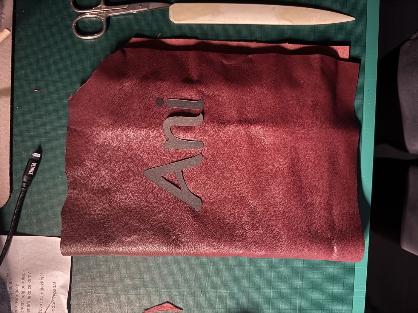Leather cut for the cover, with the name Ani cut out